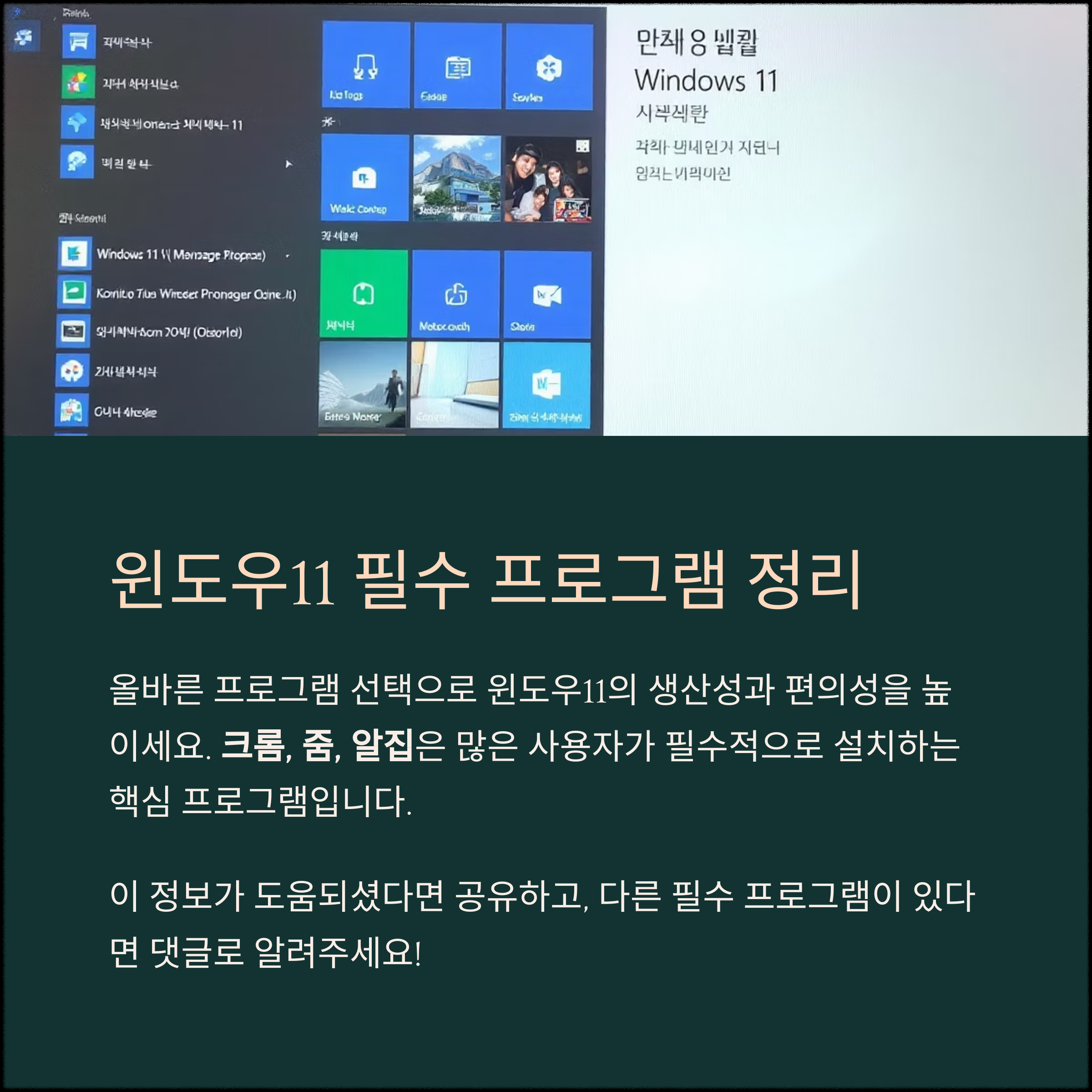 윈도우11 사용자라면 꼭 알아야 할 필수 프로그램 가이드
