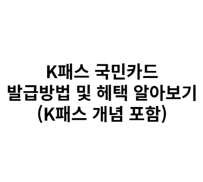 K패스 국민카드