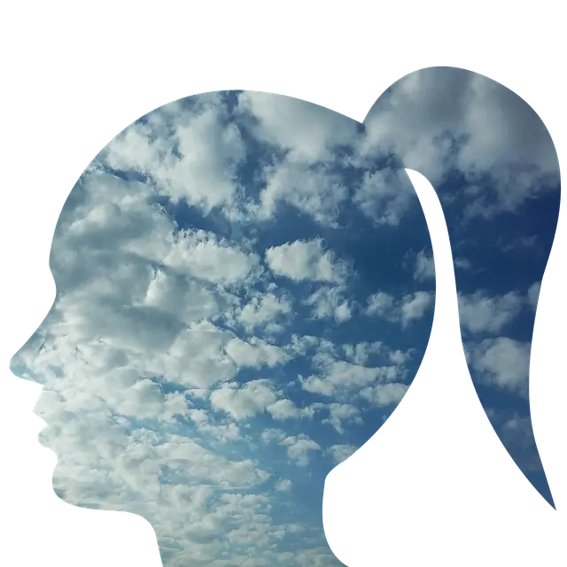 인기 블로그 주제를 찾는 방법, 진화심리학적 접근