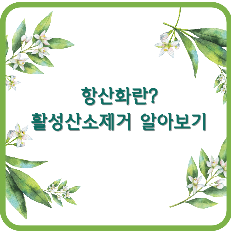 항산화알아보기