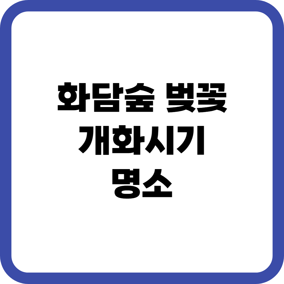 화담숲 벚꽃 개화시기 명소