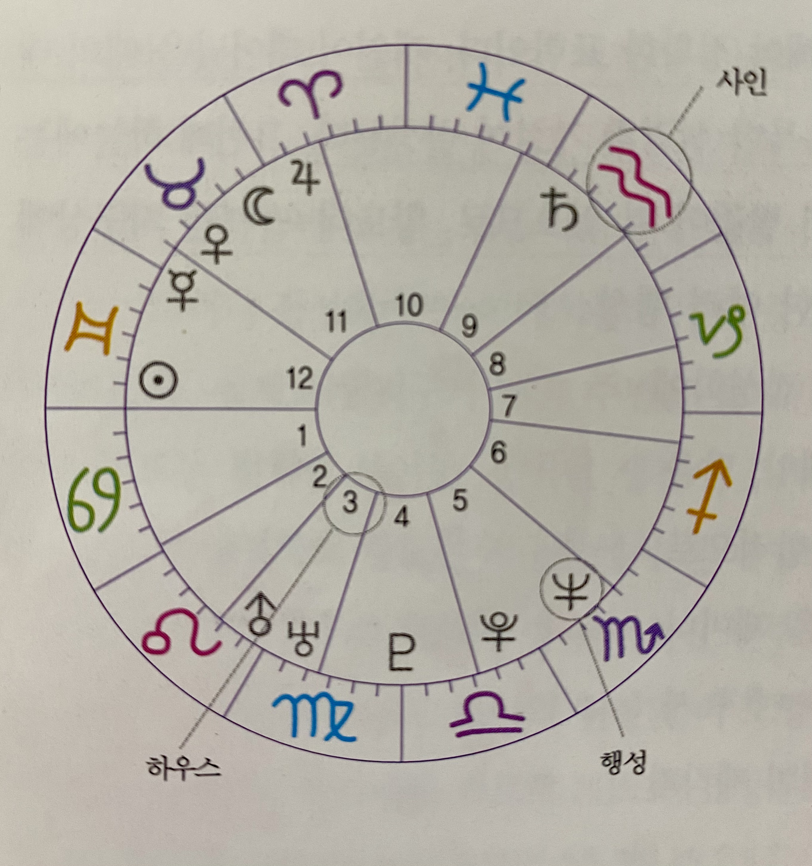 출생차트