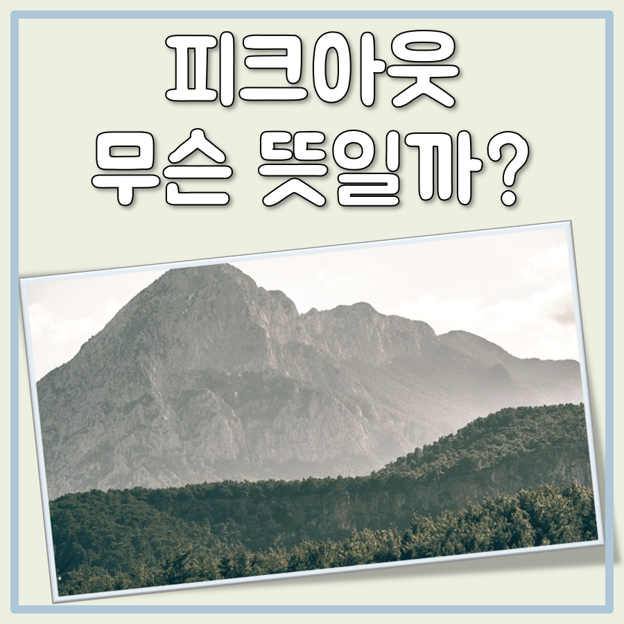 피크아웃 뜻 대표 이미지