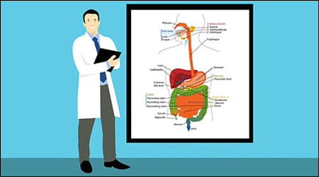 의사가 소화기관 차트 옆에 서 있음