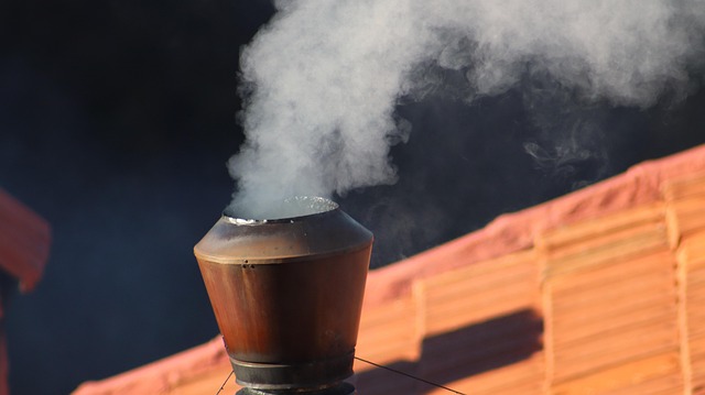 새 교황으로 선출된 레오 14세
