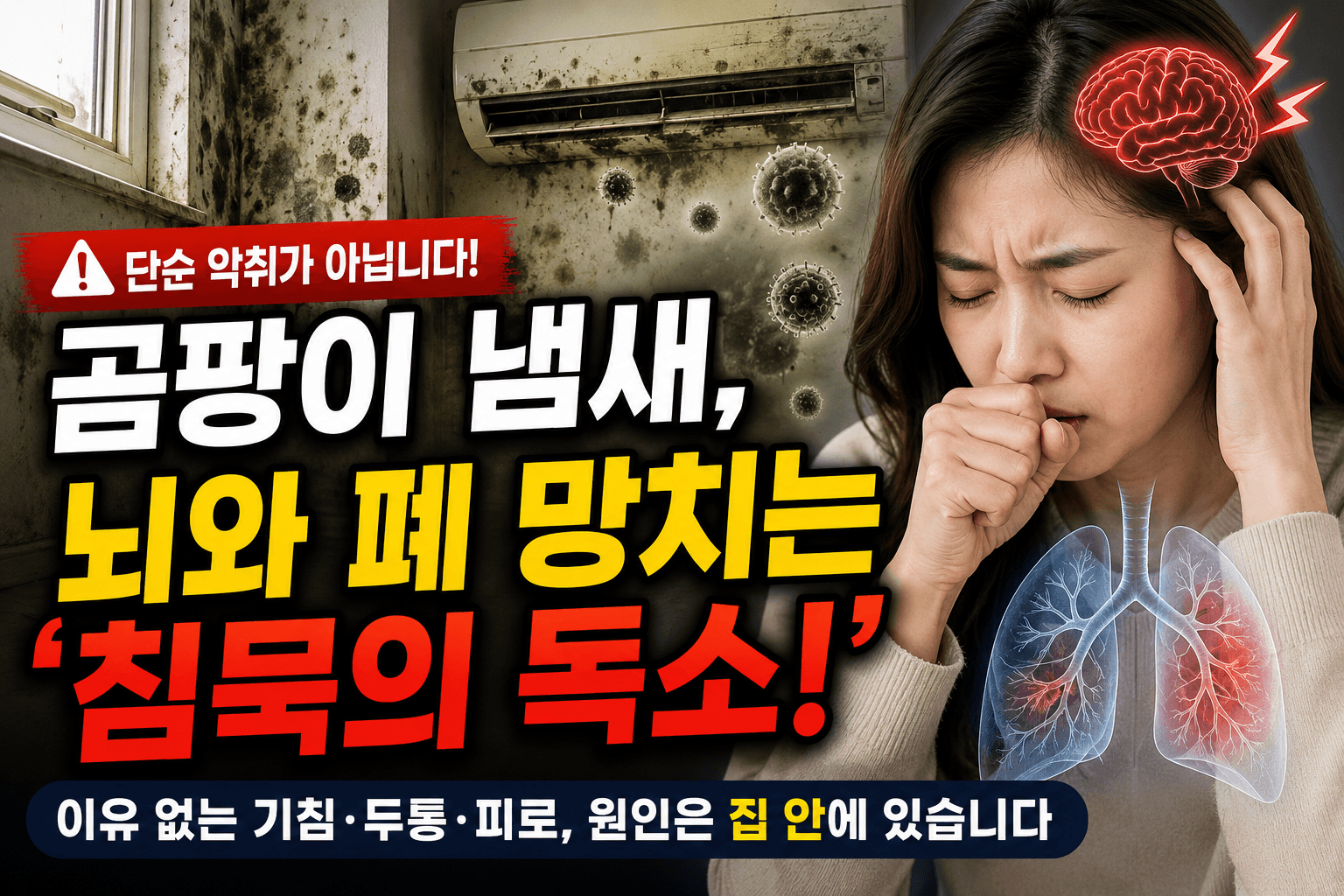 이유 없이 기침하고 머리 띵하다면? 집안 곰팡이 냄새 의심하세요