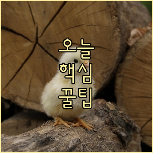 개인사업자 아빠도 10일 유급 배우자..