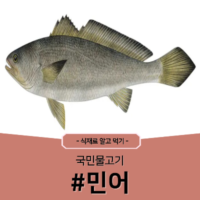 민어
