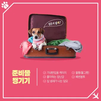 반려동물과 해외여행 기내 직항 펫 전용 준비와 절차_8