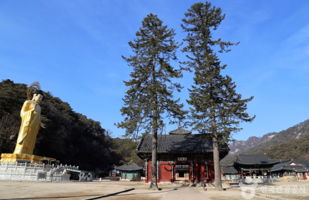 속리산의 품 안에 안긴 충북 보은