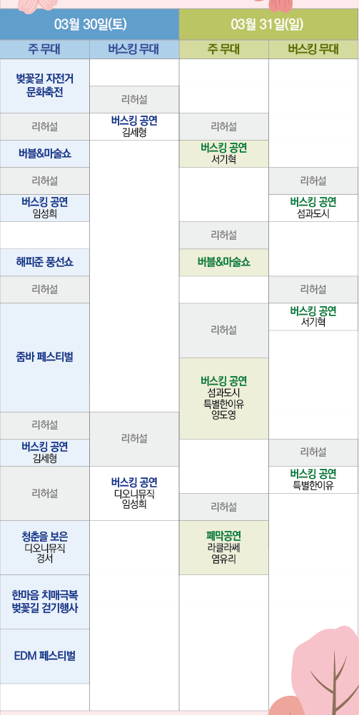 보은 벚꽃길 축제