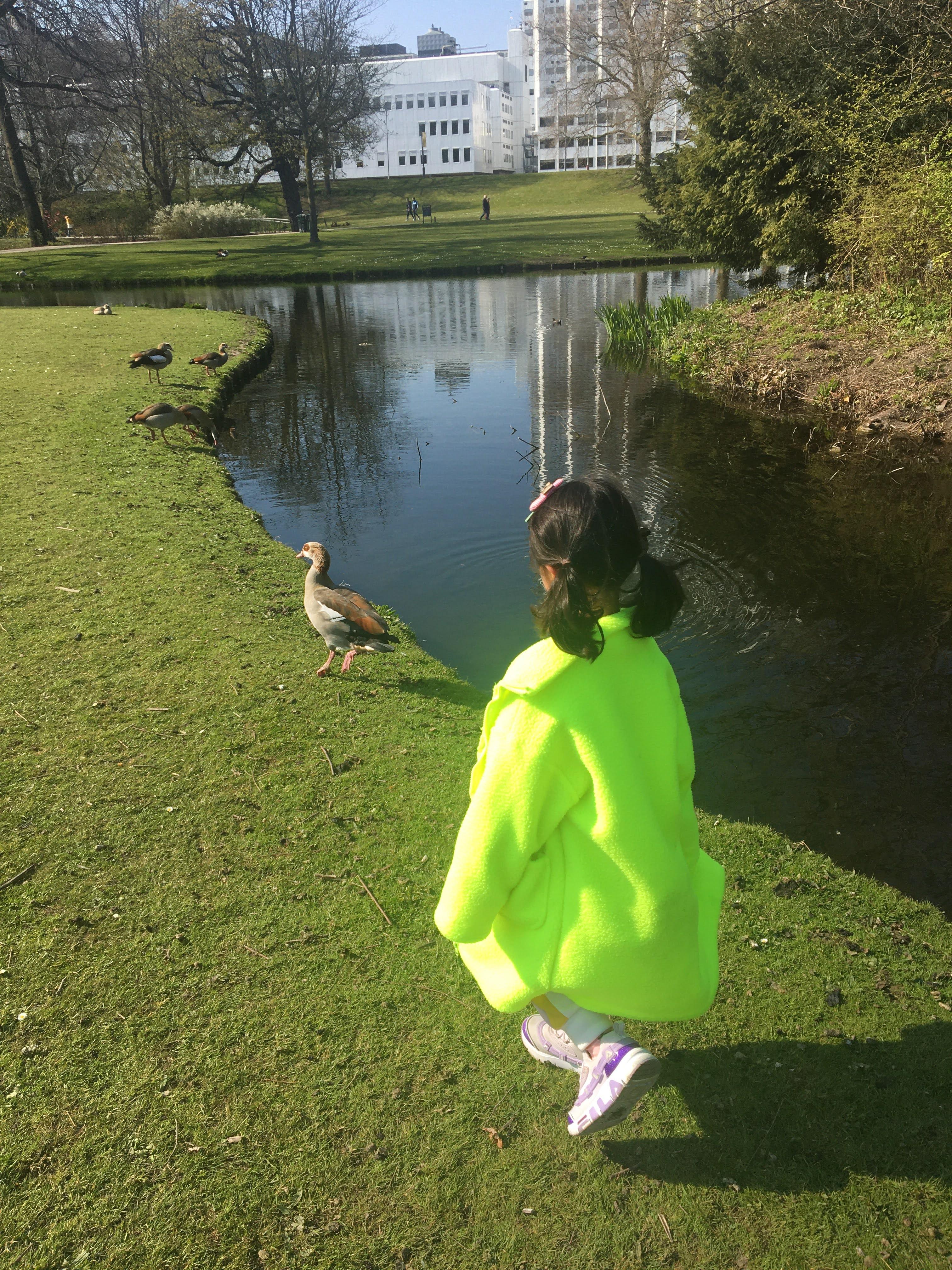 het park