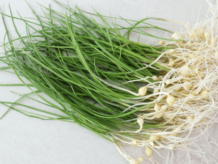 3월 제철음식 쭈꾸미 도다리 봄동 달래 냉이 방풍나물 미나리 가리비 참나물