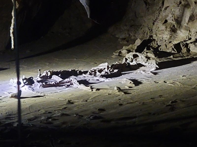 천곡황금박쥐동굴