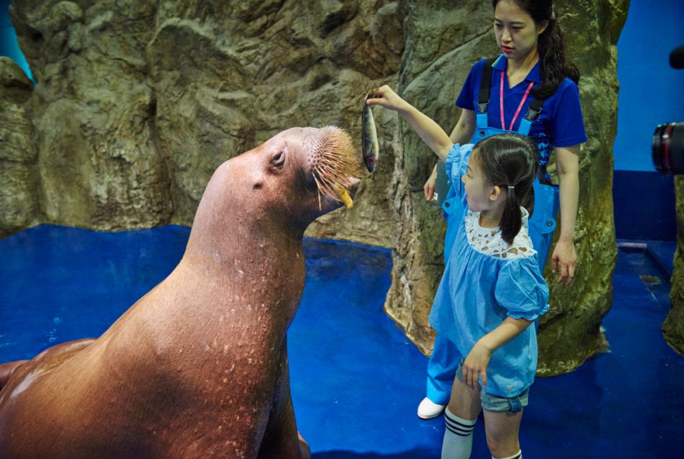 아쿠아플라넷 일산