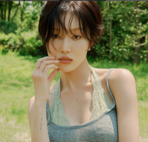 화사 프로필