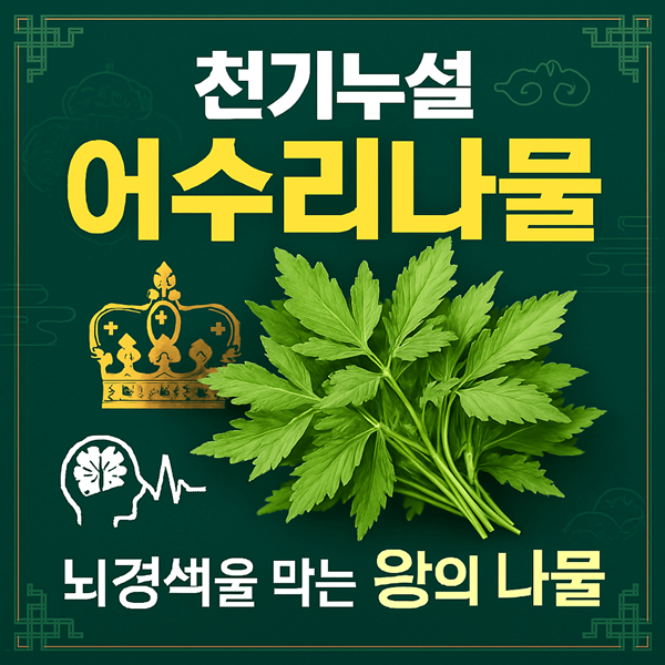 천기누설 어수리나물 썸네일