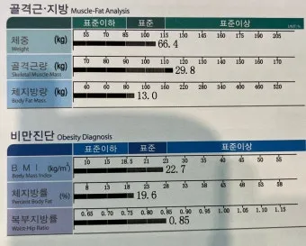 40대 여자 체지방률 평균 20~25% 계산 방법 측정법 다이어트_20