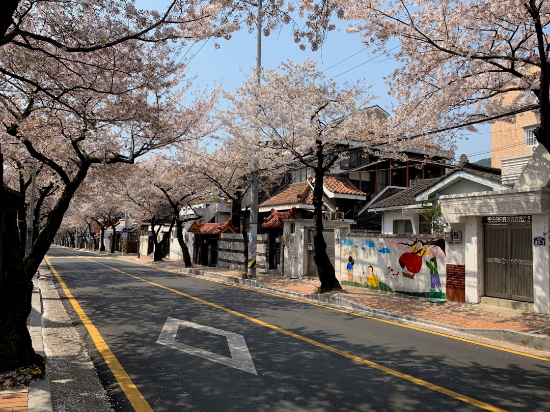 Jinhae Gunhangje