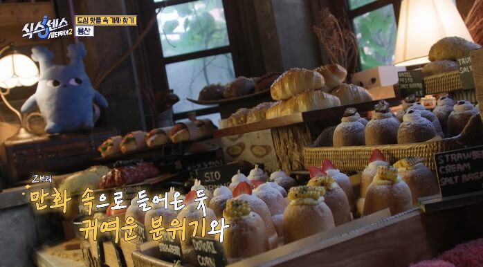 식스센스시티투어2-도토리빵