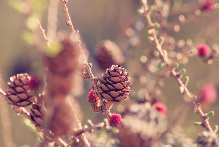 사회적 고립과 건강: 신체적, 정신적 영향