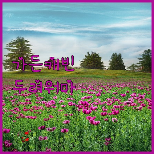 삿포로 가든 캐빈, 캡슐호텔 경험 후