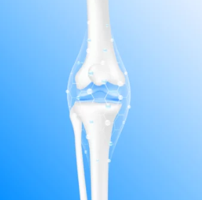 프롤로주사/출처:어도비스톡