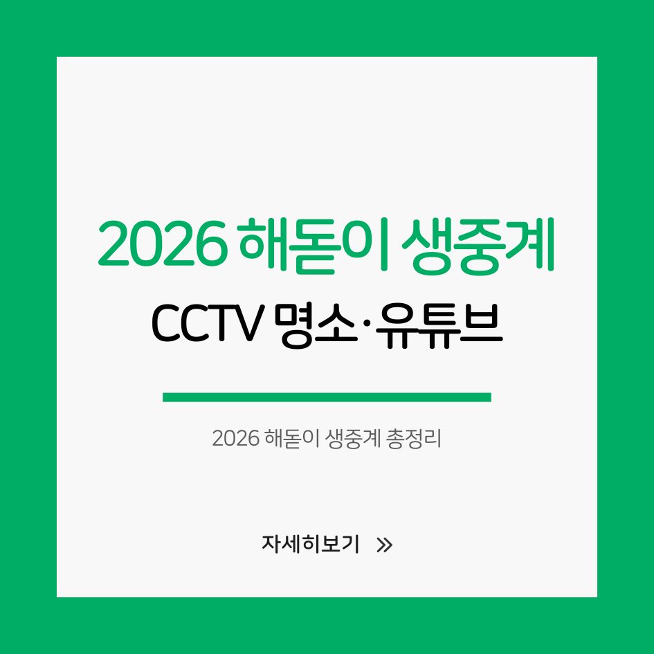 2026 해돋이 생중계 CCTV 유튜브 정리