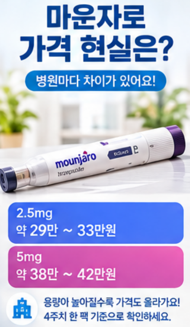 마운자로 가격, 부작용, 실비, 술, 총정리! 이것만 알면 끝!!