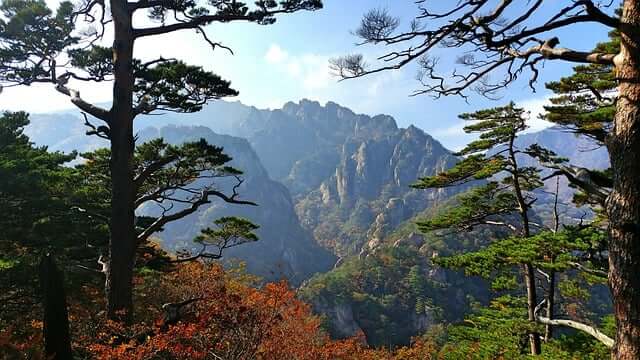 설악산 단풍절정시기