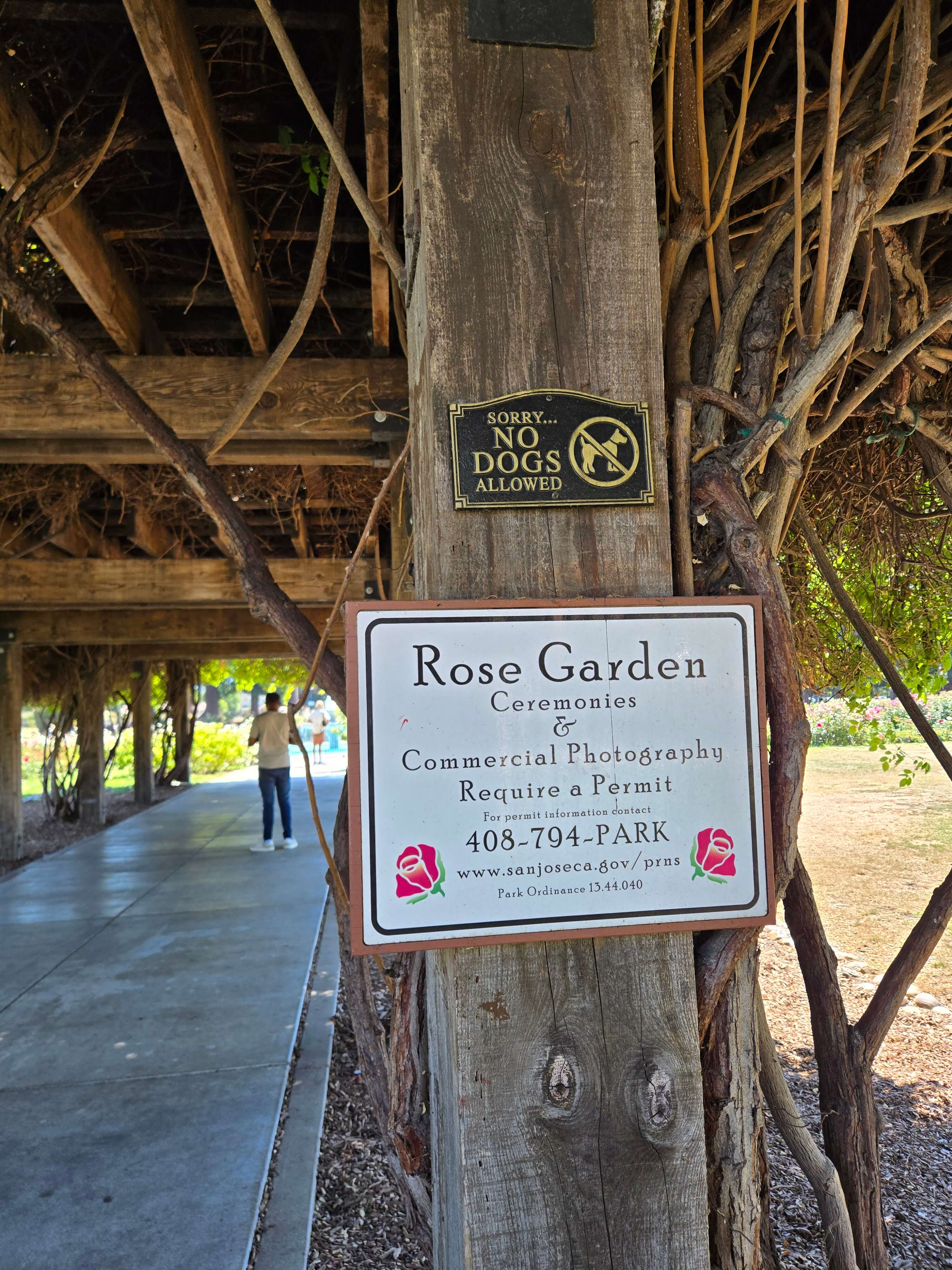 아이들과 함께 산호세 2주 살기(Our 2-Week Stay in San Jose) 관련사진