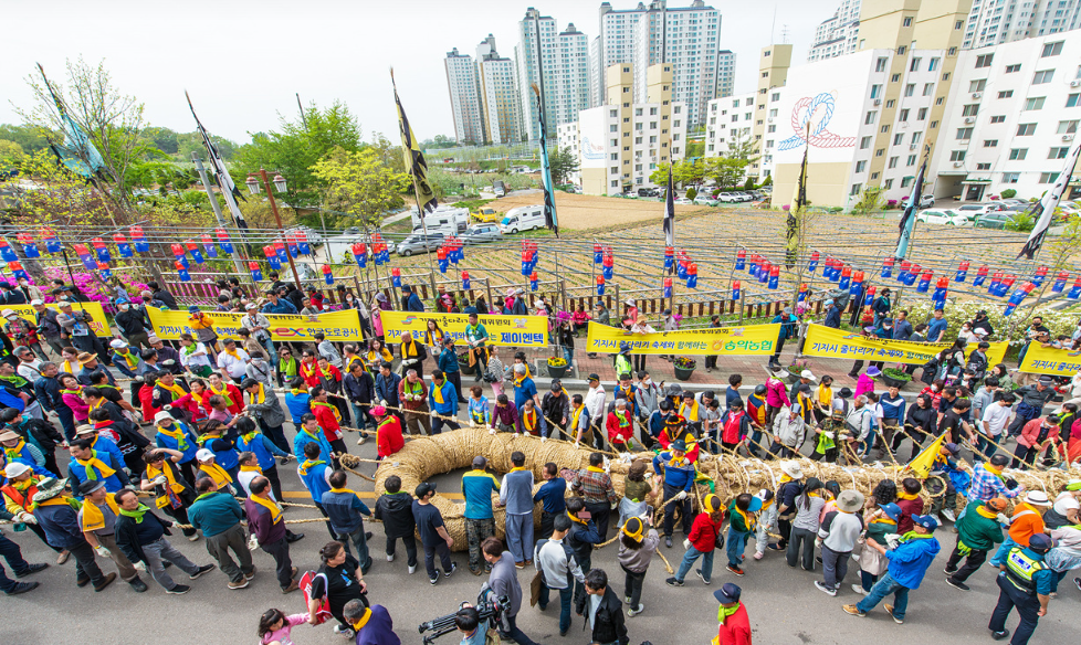 기지시 줄다리기 축제