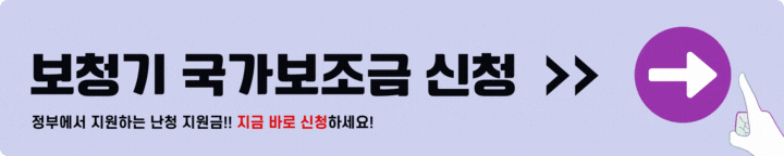 보청기 국가보조금