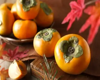 상주 곶감축제_17