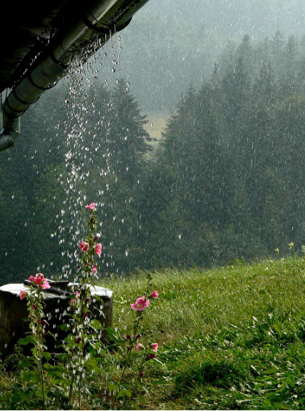 장마기간, 특징