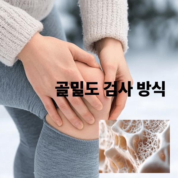 검사 방식: 무엇을, 어디를 재나?