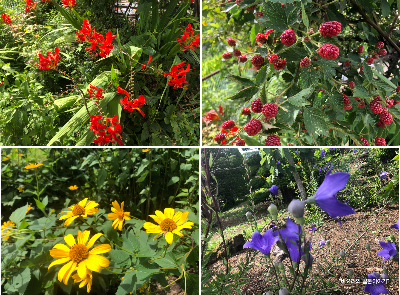 도쿄 근교 소도시 여행 오시노무라