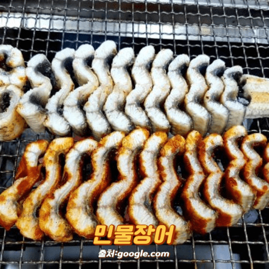 민물장어