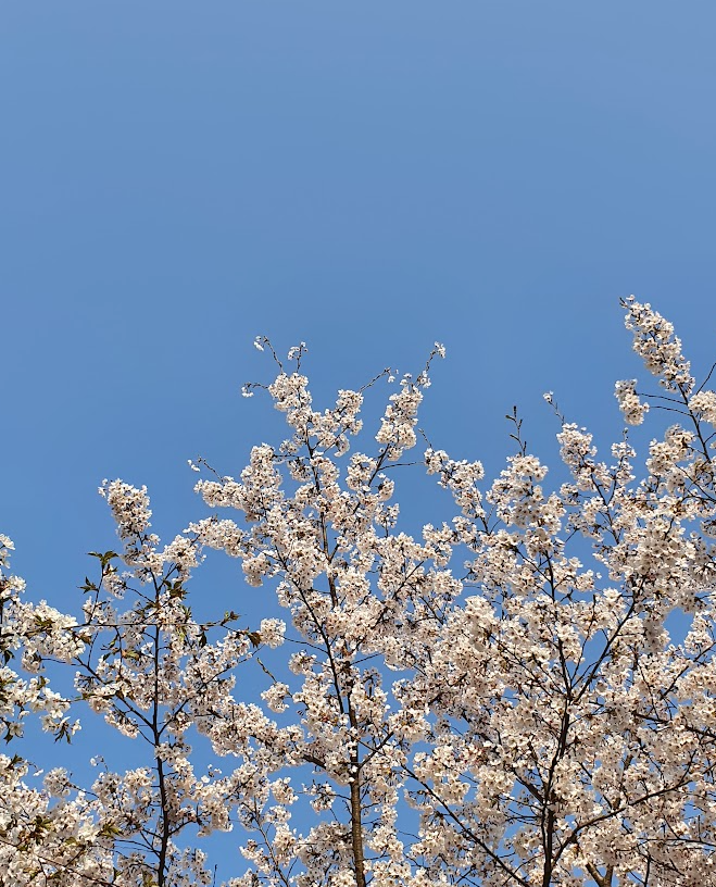 경남 진해, 내 발로 밟은 흙의 기억 - 맨발 걷기 명소 TOP 3