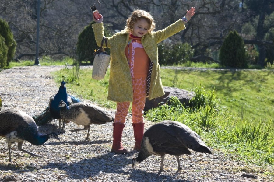 우리는-동물원을-샀다-스틸컷-아이와-공작새