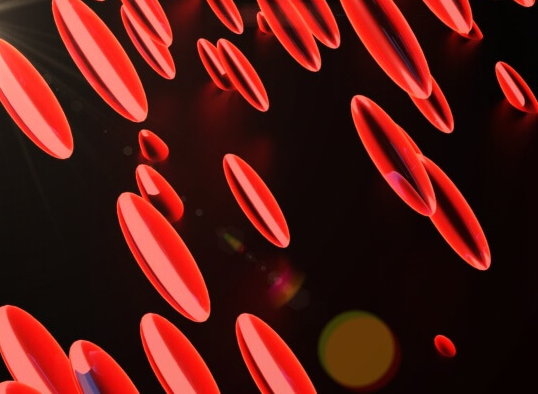 적혈구가-떠다니는-모습