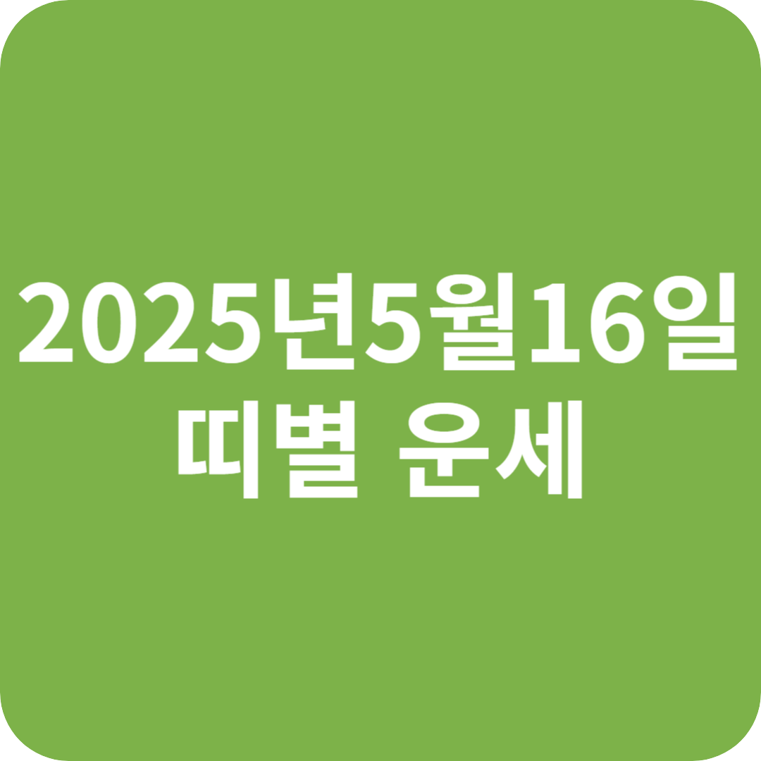 2025년 5월 16일 띠별 운세