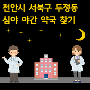 천안시 서북구 두정동 심야 야간 약국 찾기