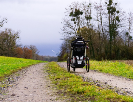 절충형 유모차 장단점 비교 (휴대성과 기능의 균형) 관련 사진