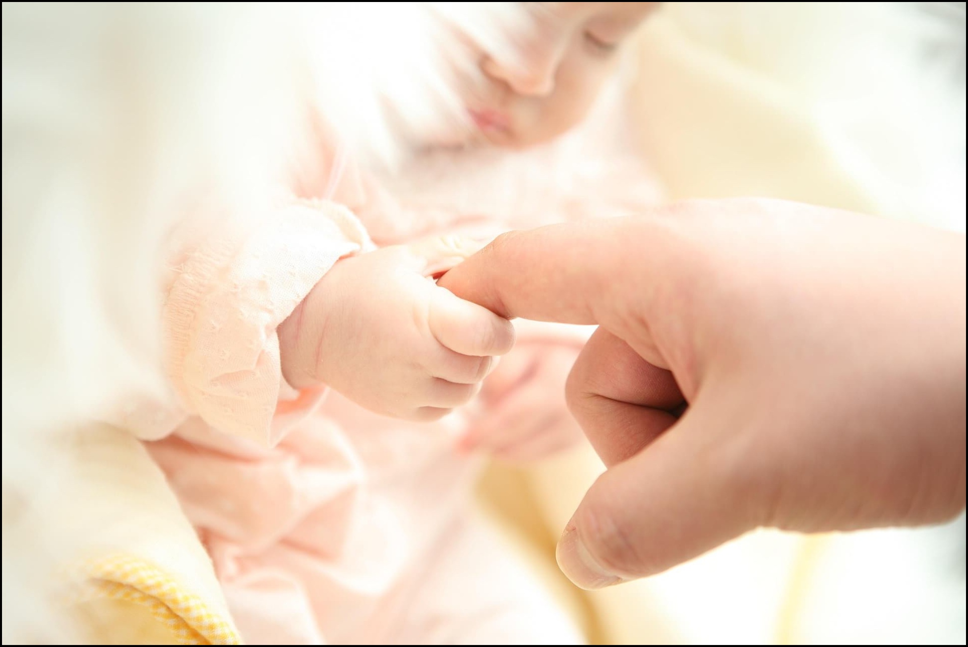 출산 후 행정 체크리스트