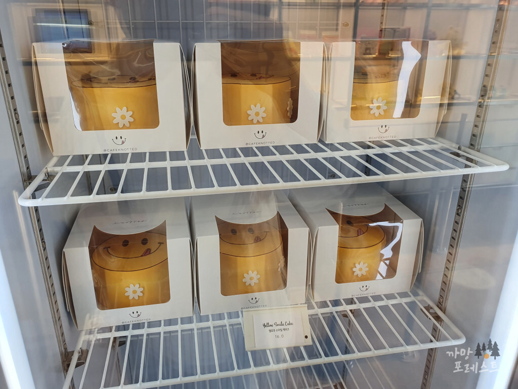 제주 카페 노티드 케이크