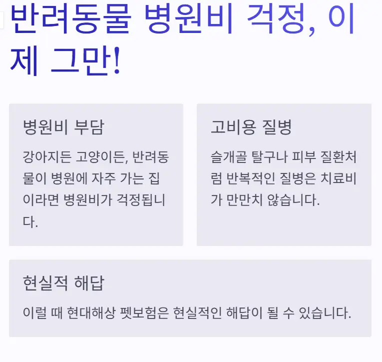 현대해상 펫보험
