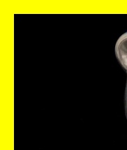 여름학기 장학금 이슈&amp;#44; 대학생 생활비 지원제도&amp;#44; 생활밀착형 장학금&amp;#44; 장학금 신청방법 비교&amp;#44; 각종 장학금 중복 수혜&amp;#44; 장학금 수혜가능자 유형&amp;#44; 대학생 민원 1위 혜택&amp;#44; 장학금 선정 방법 노하우