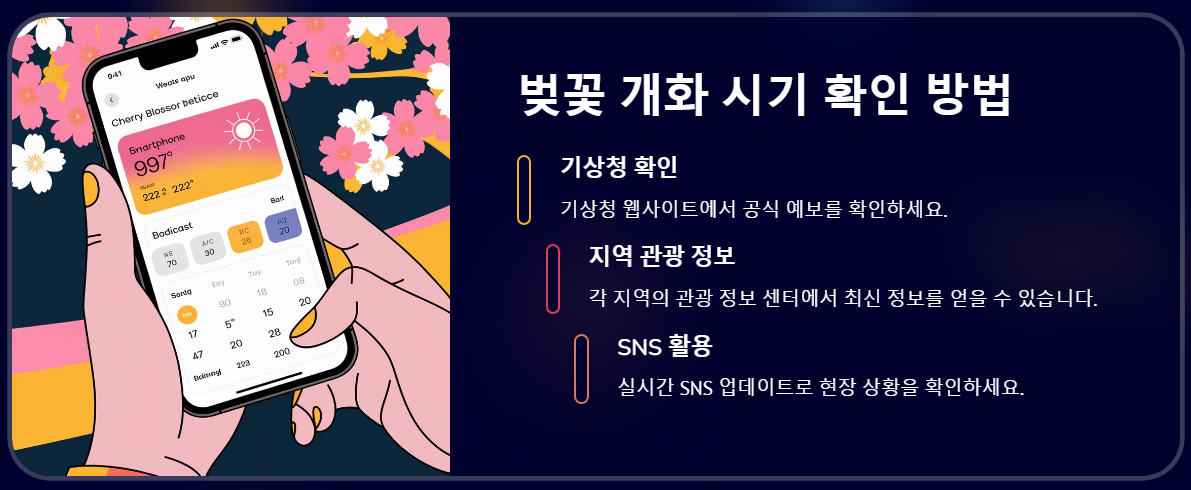 제주도 벚꽃 개화시기 2025