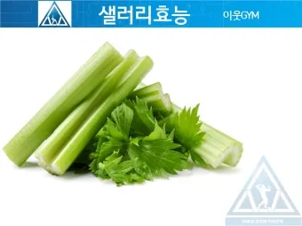 샐러리 효능 알고 먹는법 잎 생으로 손질법 요리_14